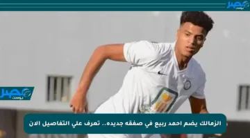 الزمالك يضم أحمد ربيع في صفقة جديدة.. تعرف على التفاصيل الآن